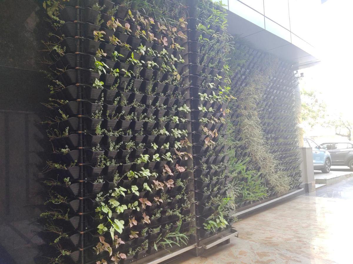 Delhieez - A Boutique Hotel New Delhi Exteriör bild